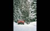 02 - 320i E36 Berline (1996)