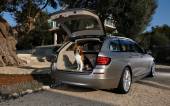 02 - 520d F11 Touring (2010)