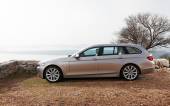 28 - 520d F11 Touring (2010)