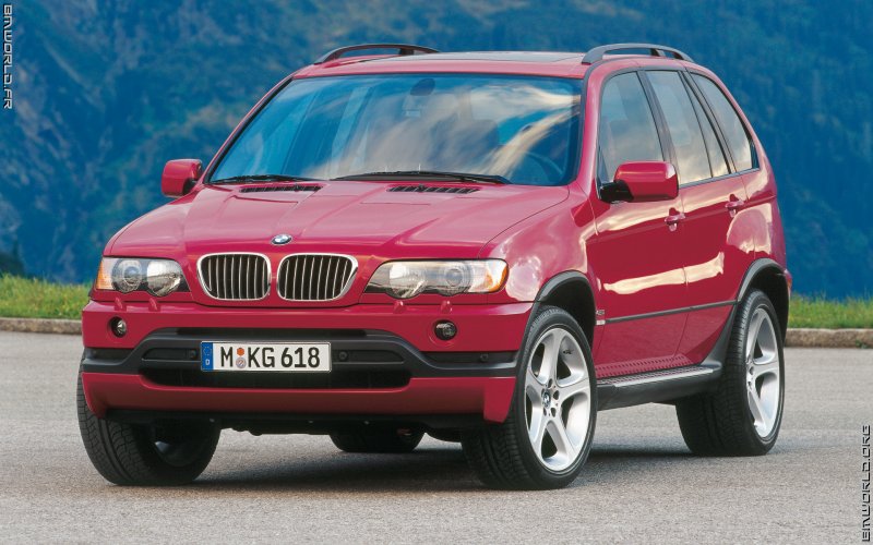 Bmw x5 dalimis #4